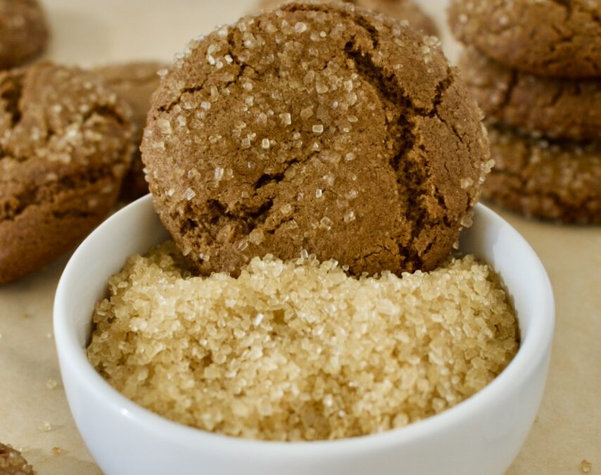 gluten free and dairy free allergy friendly gingersnaps