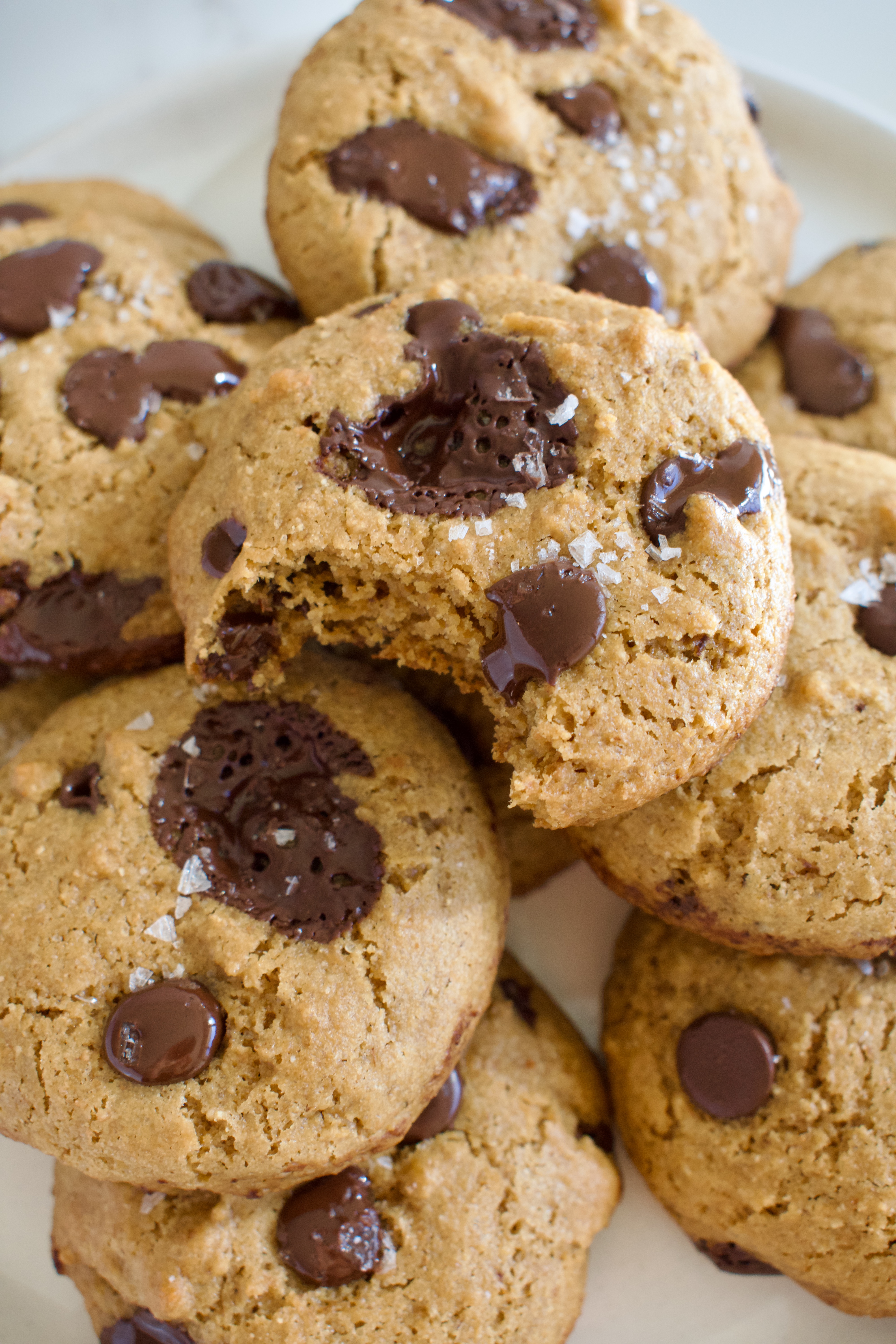 gluten free and dairy free browned coconut butter chocolate chip cookies