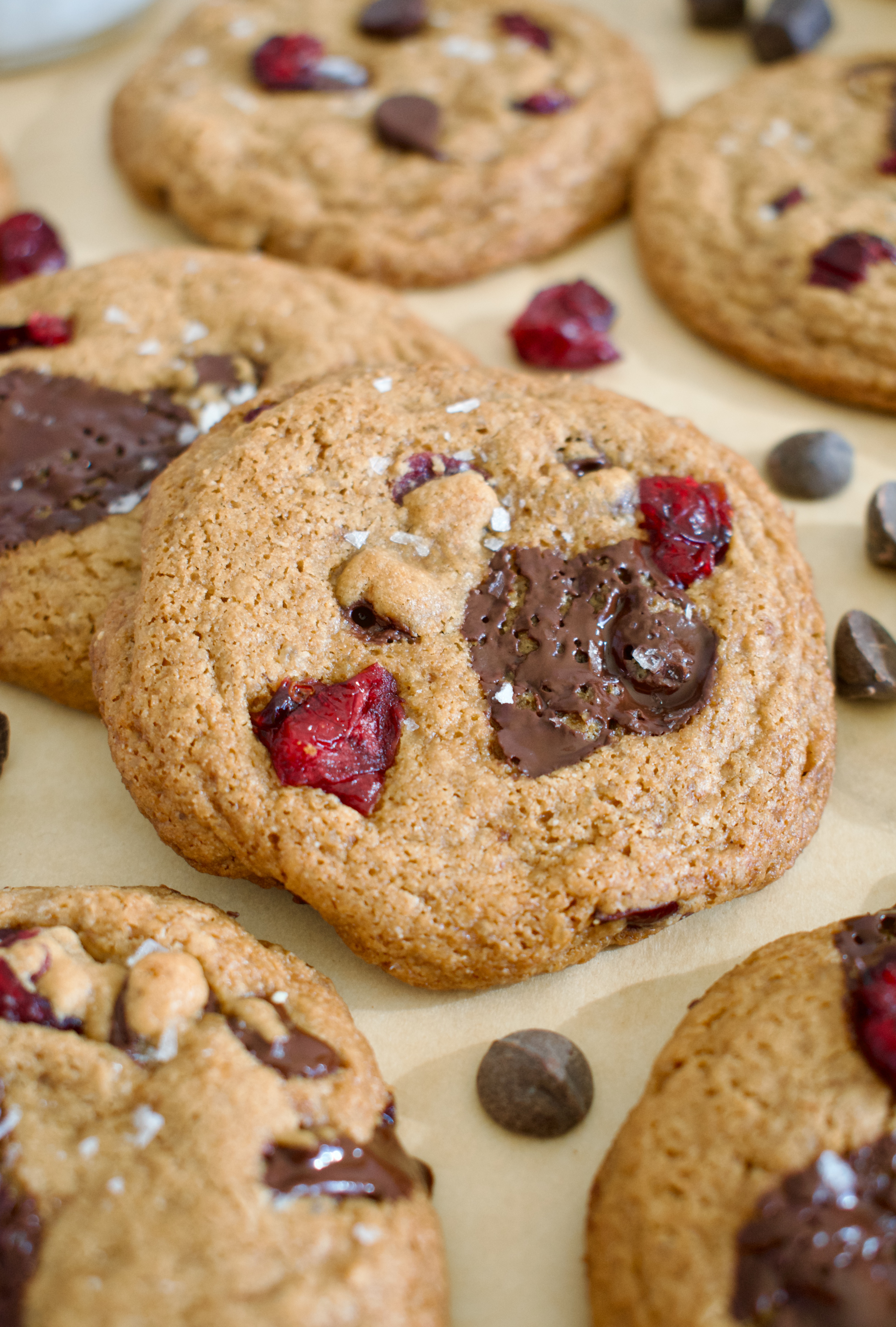 gluten free and dairy free cranberry chocolate chip cookies