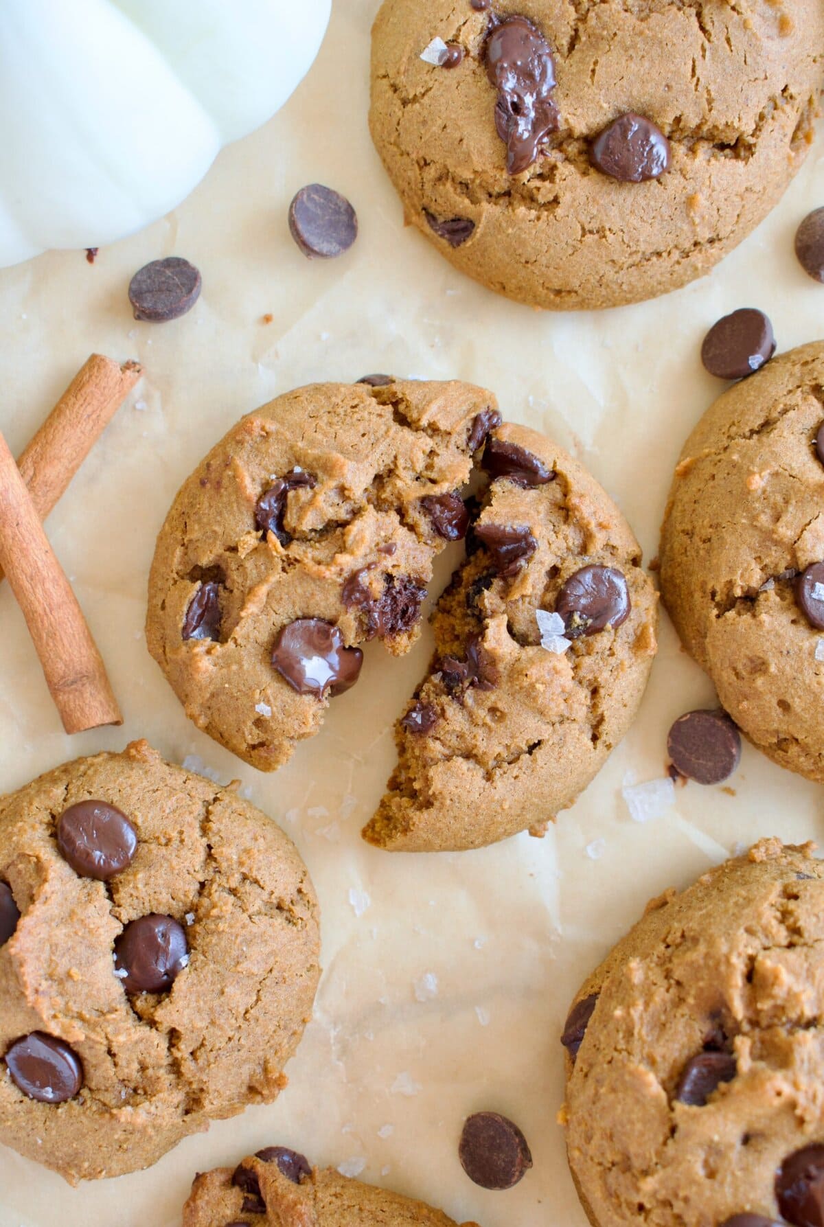gluten free pumpkin chocolate chip cookies