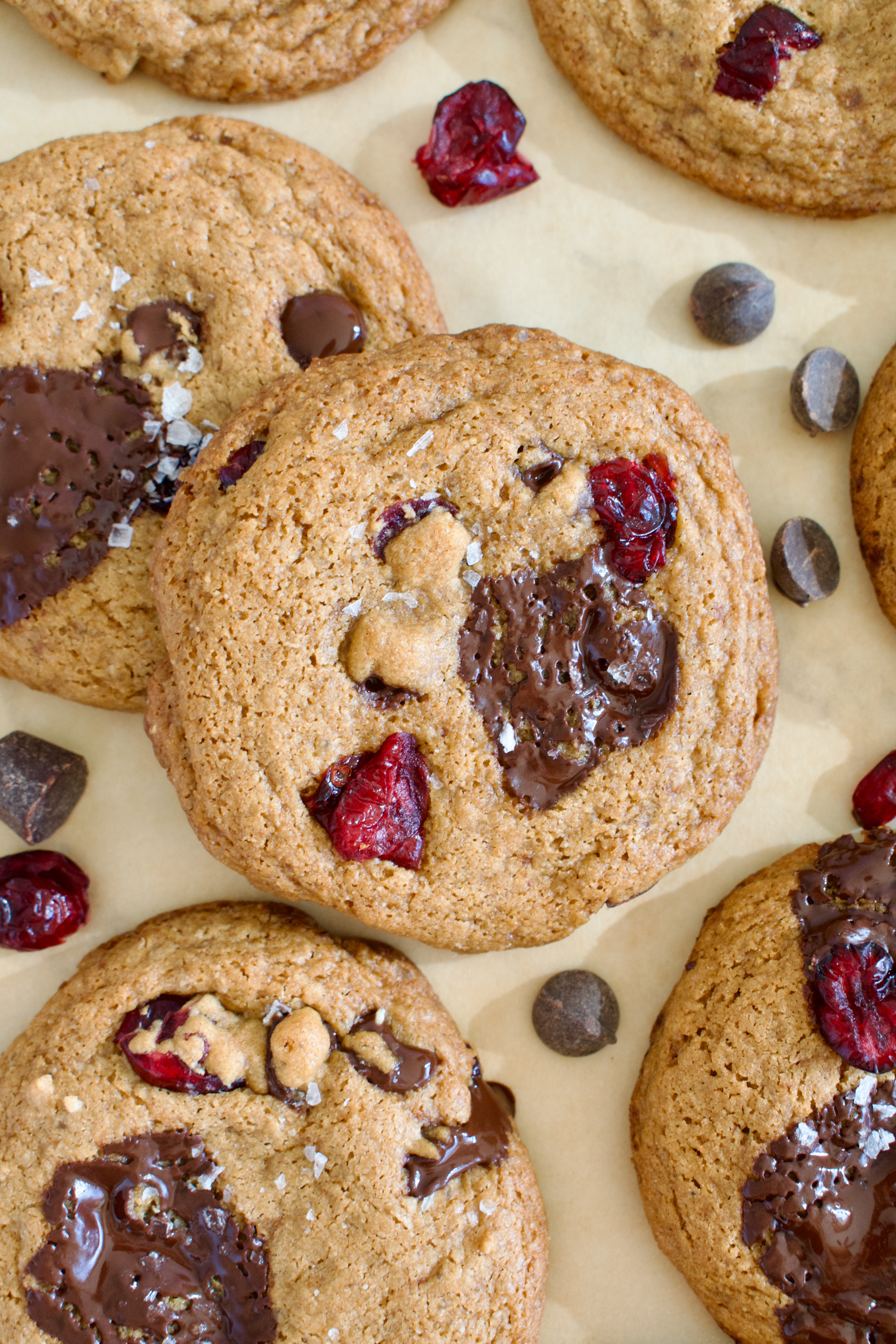 gluten free and dairy free cranberry chocolate chip cookies