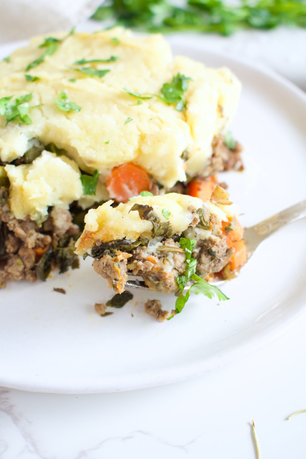 low FODMAP shepherd's pie