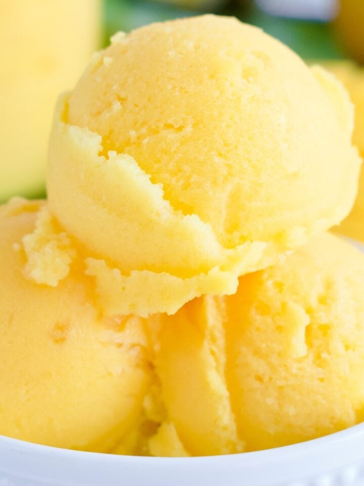 ninja creami mango sorbet